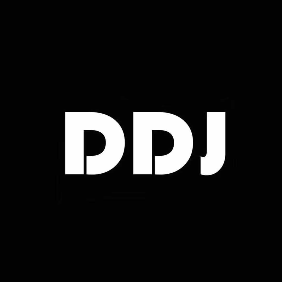 DDJ宠物蜘蛛