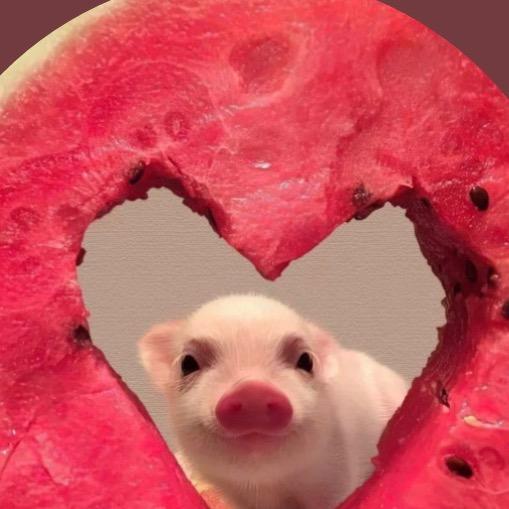 你算哪块小饼干🍪