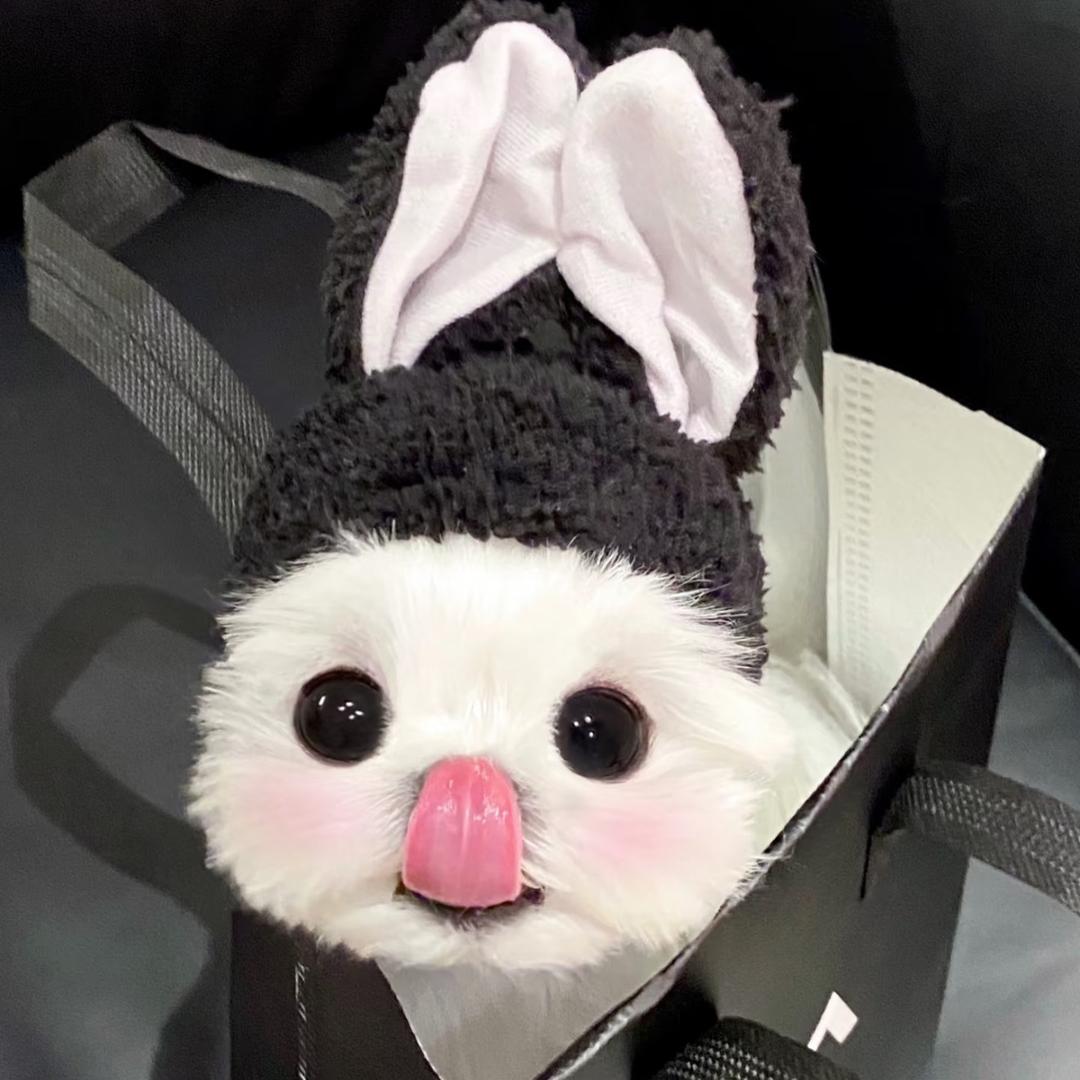 小万大王