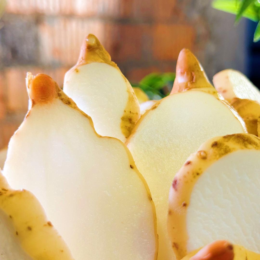 小草坝天麻源头批发