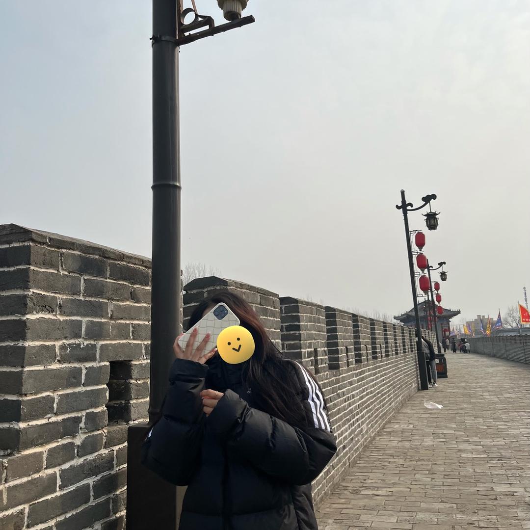 小橙子🍊