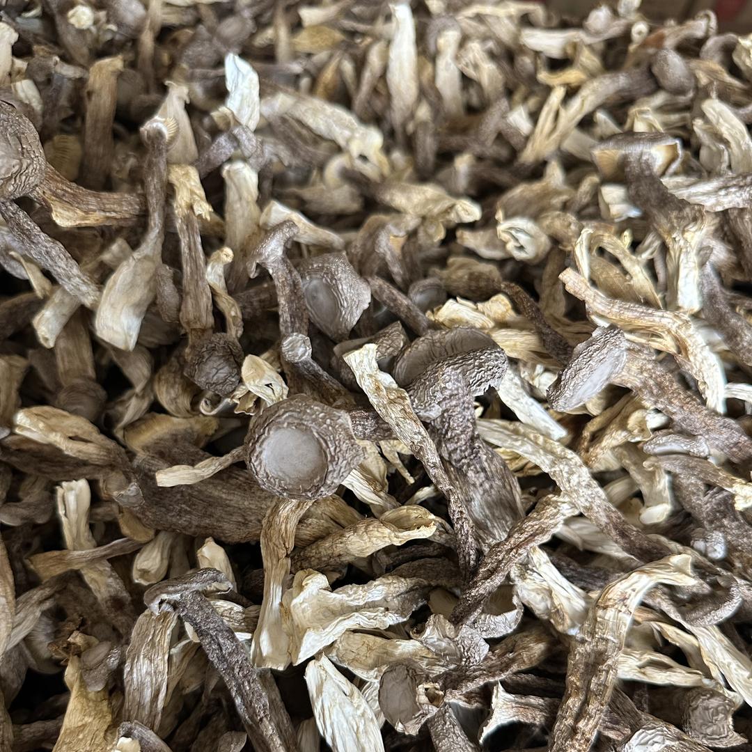 山里味鹿茸菇