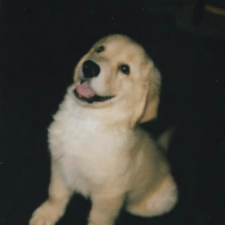 小朋友乖乖把门开开