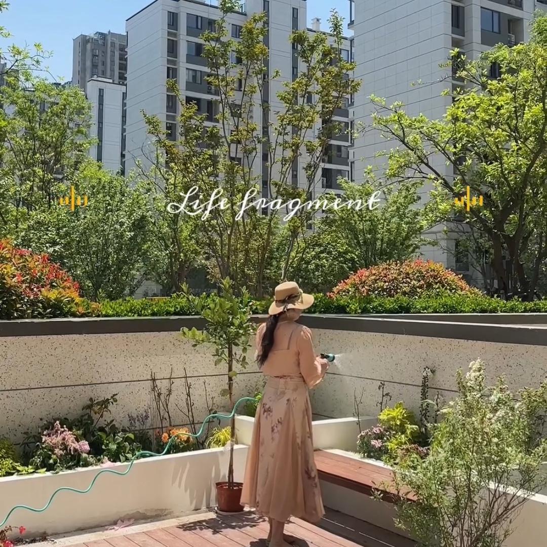 夏夏的小院子