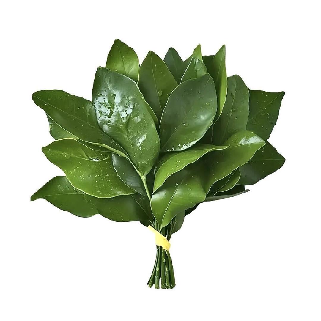 开开心心每一天0673