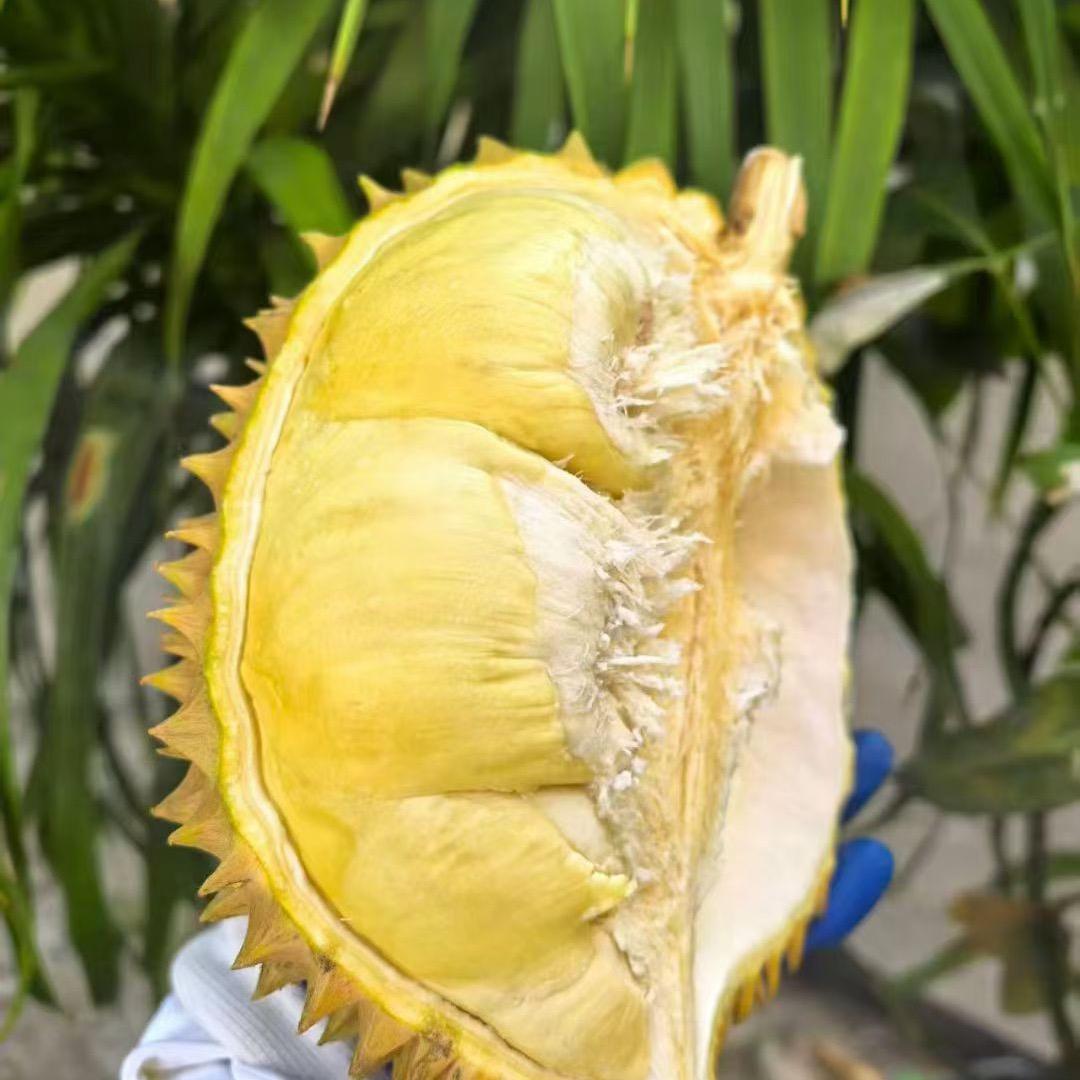 广州江南市场水果猎人-阿明