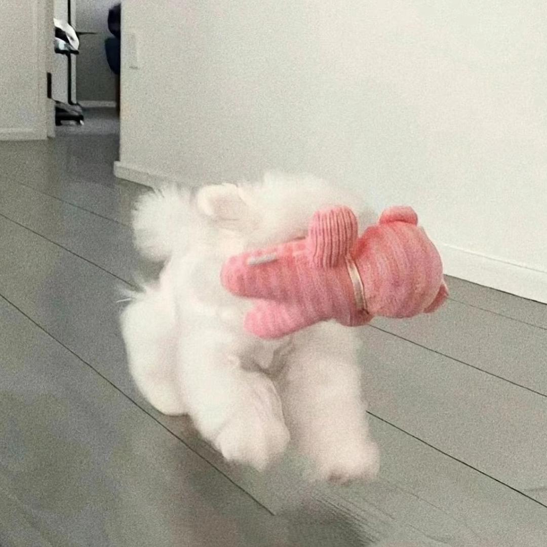 🫧