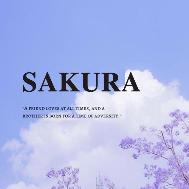 璎婲SAKURA穿搭