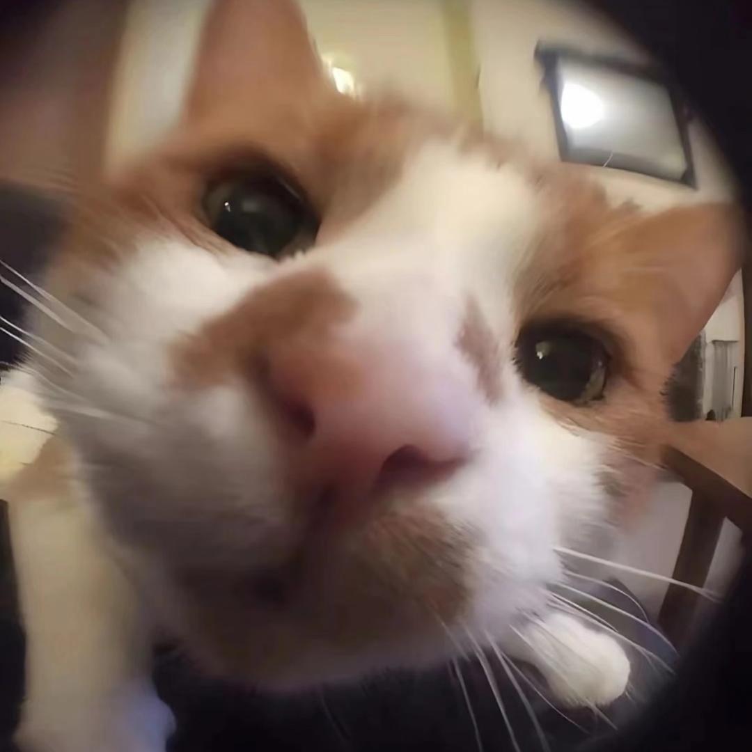 —
