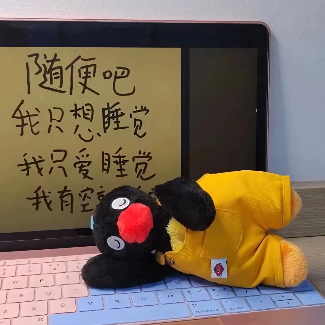 陈来分享日常