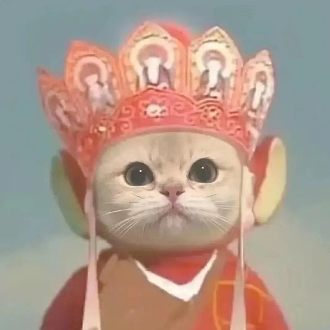 小影子的小可爱