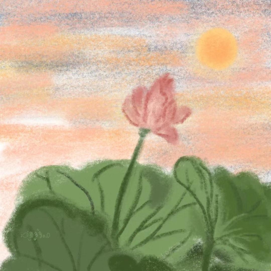 黏人小雷达