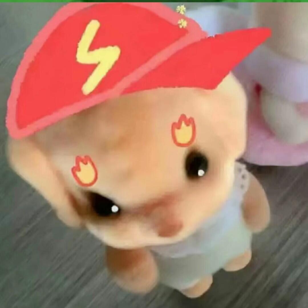 薯条🍟