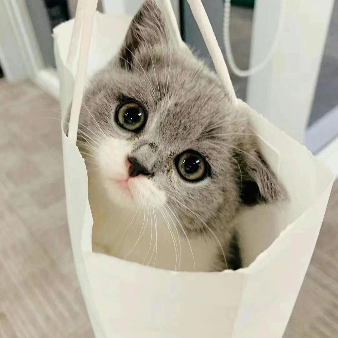 我有故事 你必须听