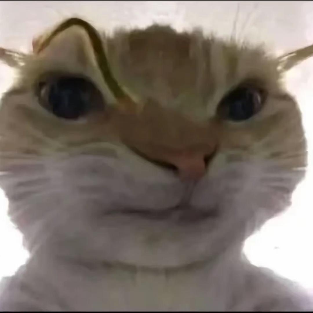 威风鼠（三角洲行动）