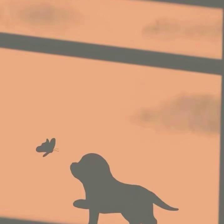 ✨🎈