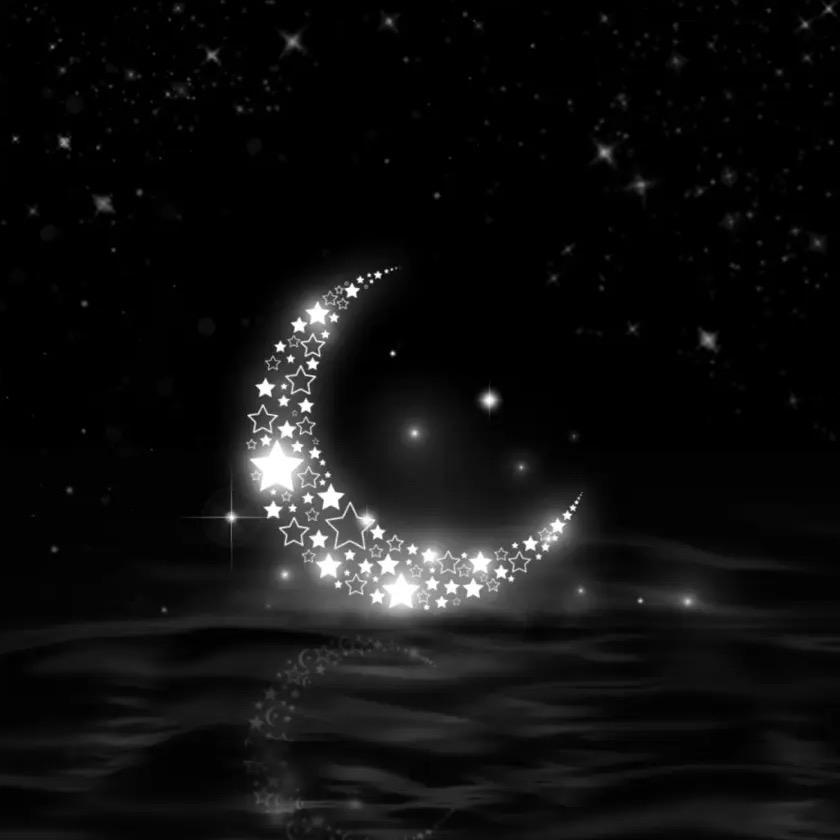七夜🌙