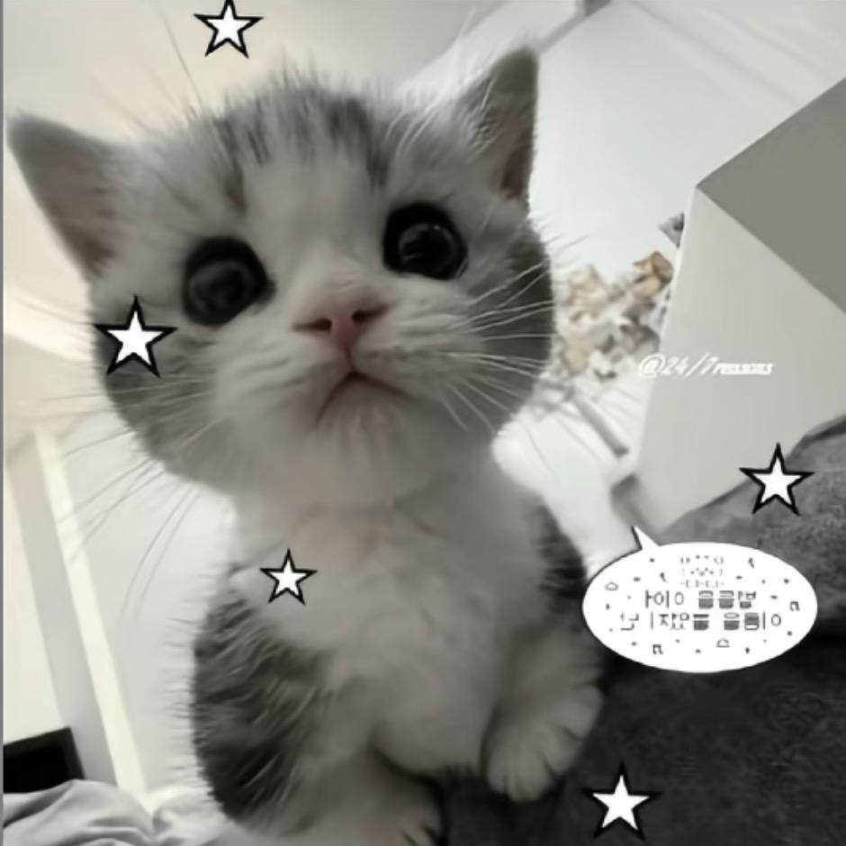 1han_82^
