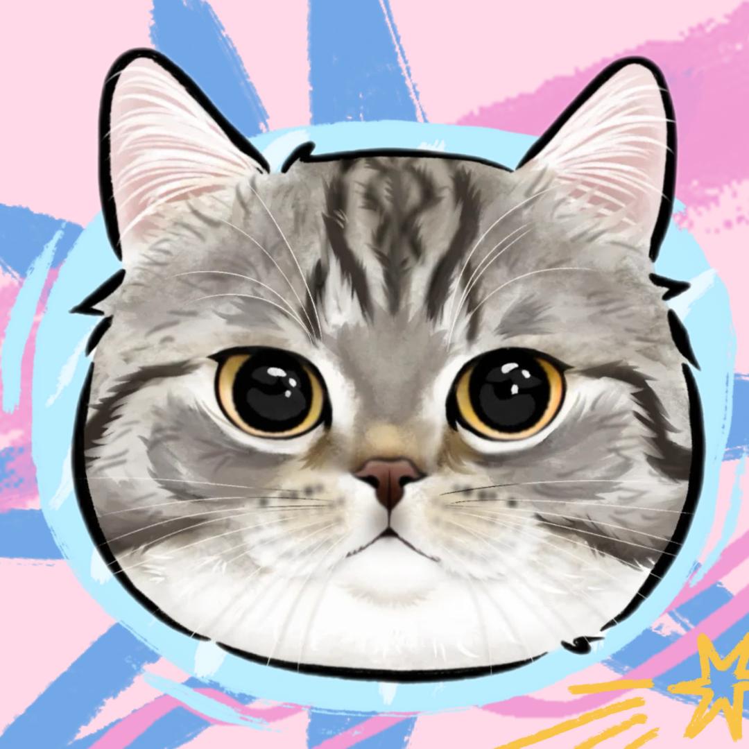 翟翟老师🐱