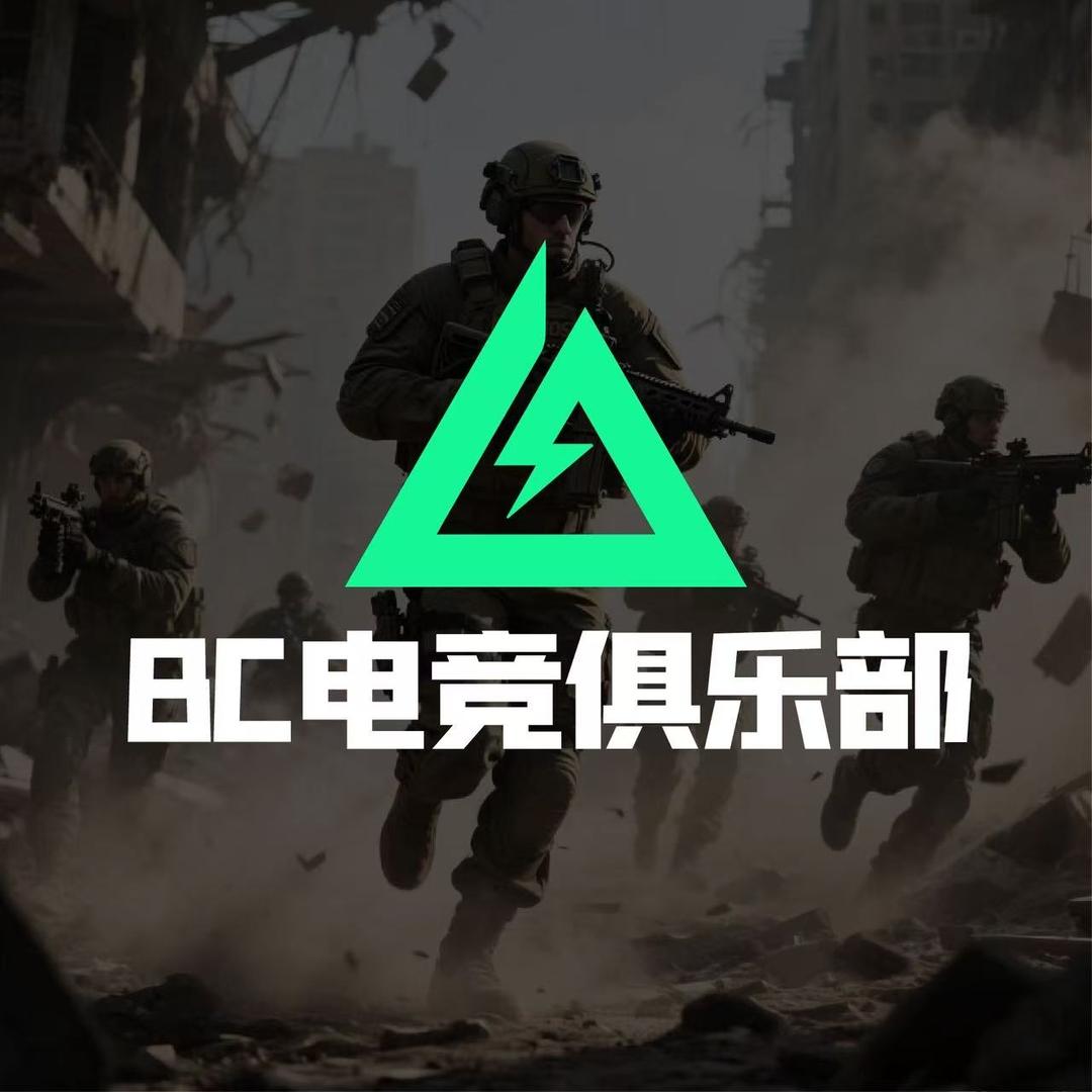 BC电竞（招纯绿打手）