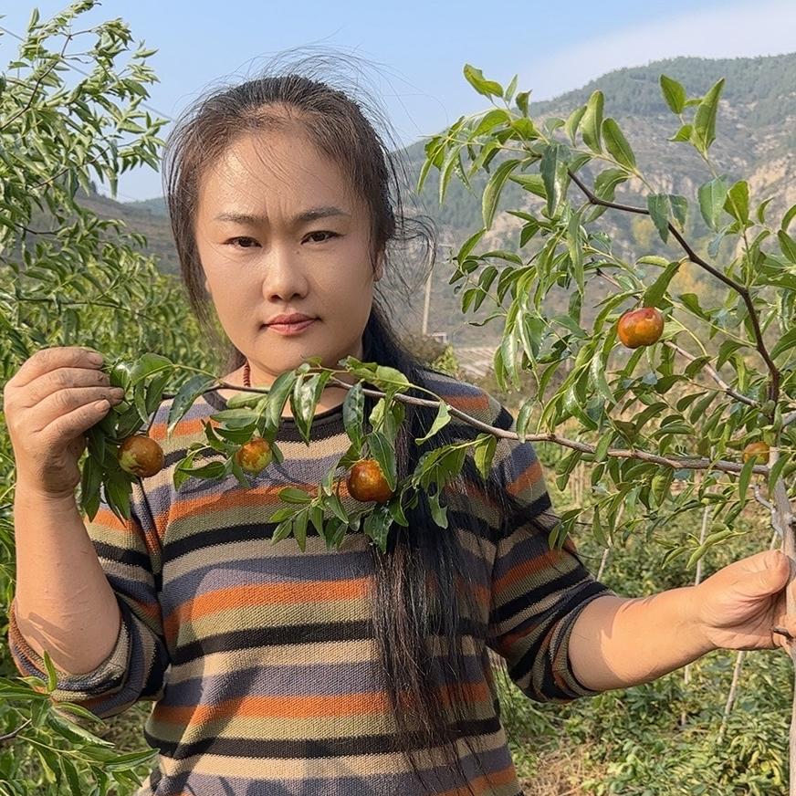 德天果树苗木专营店