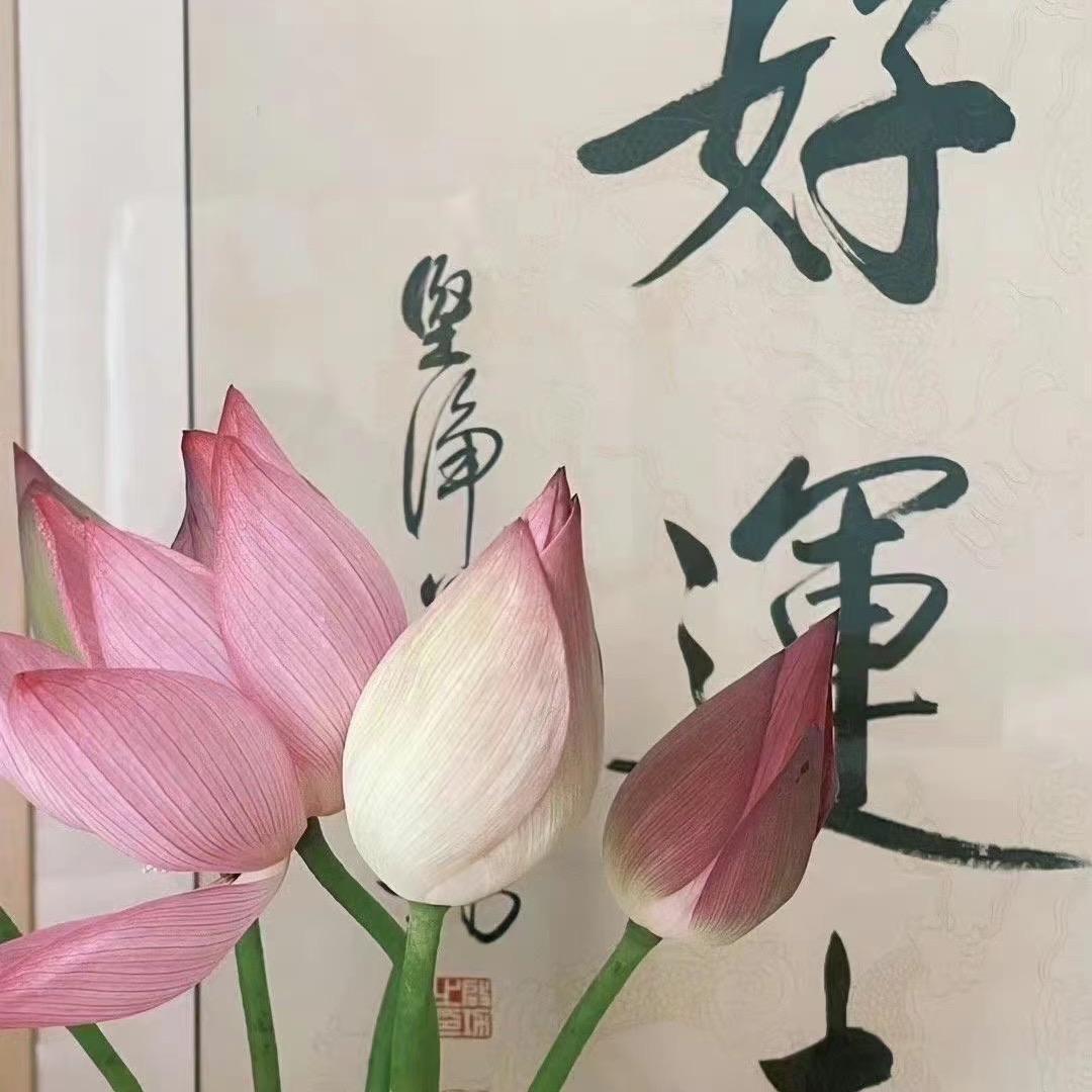 流亦菲