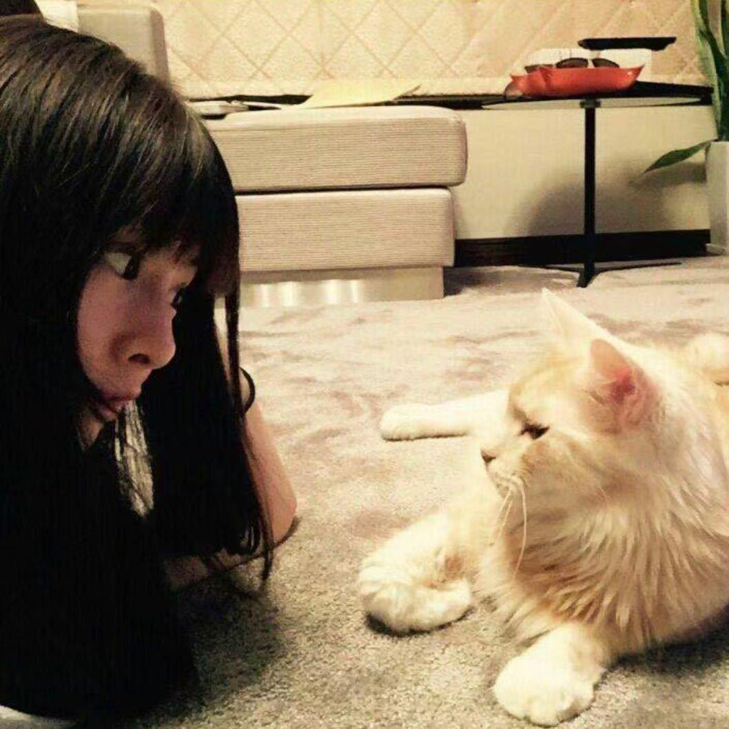 fu星小赵