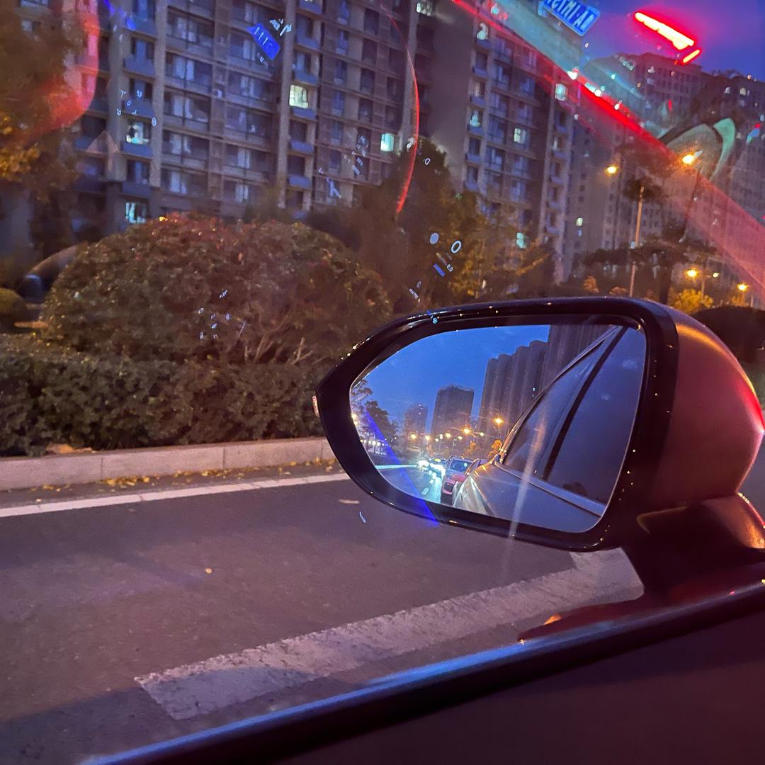 若一生自由随风起