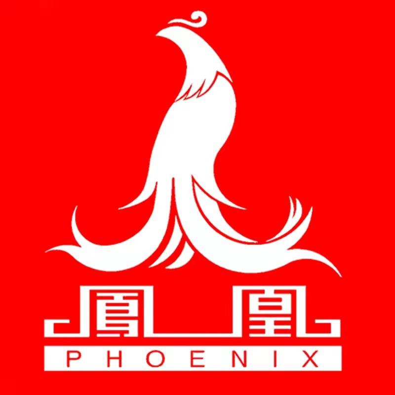 凤凰自行车运动装备旗舰店