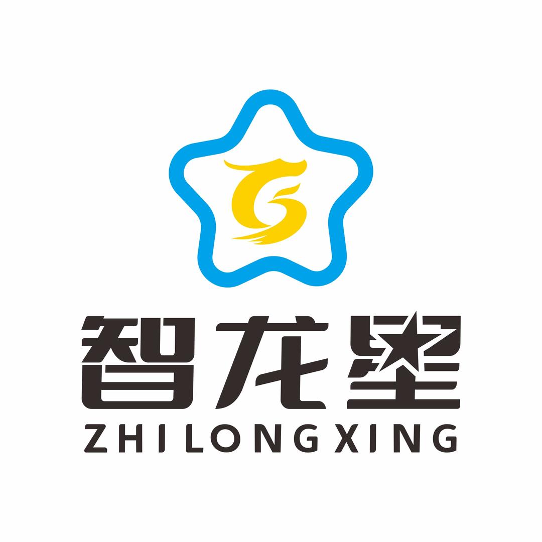 智龙星高端托教