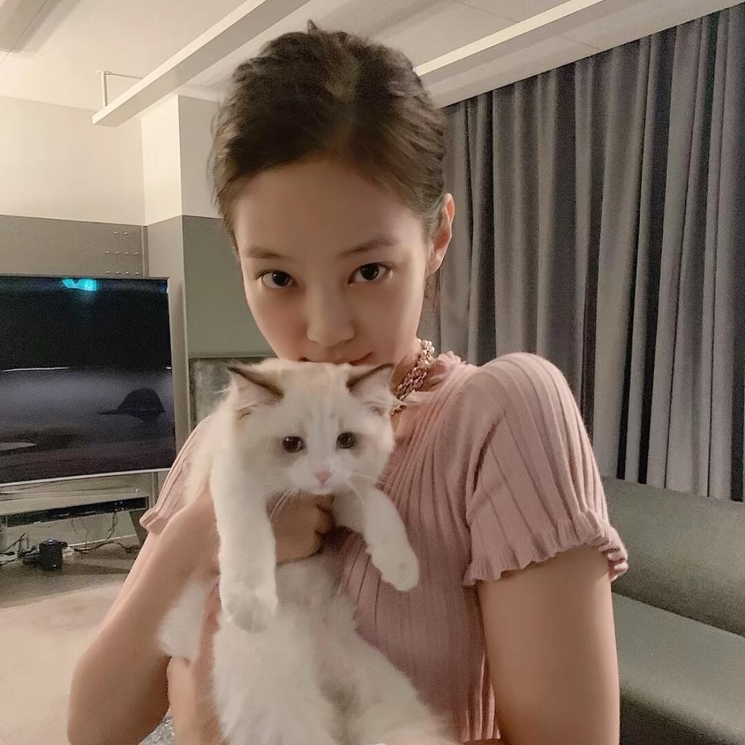 我没惹你吧