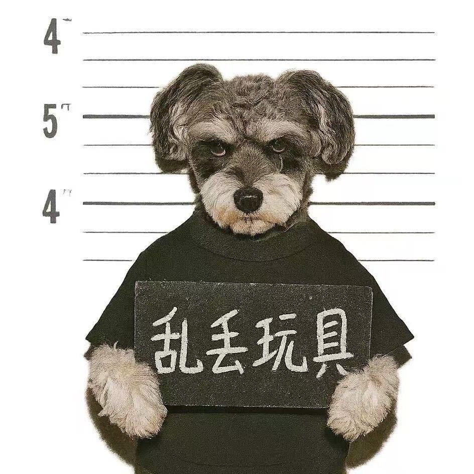 汪汪精选小铺子