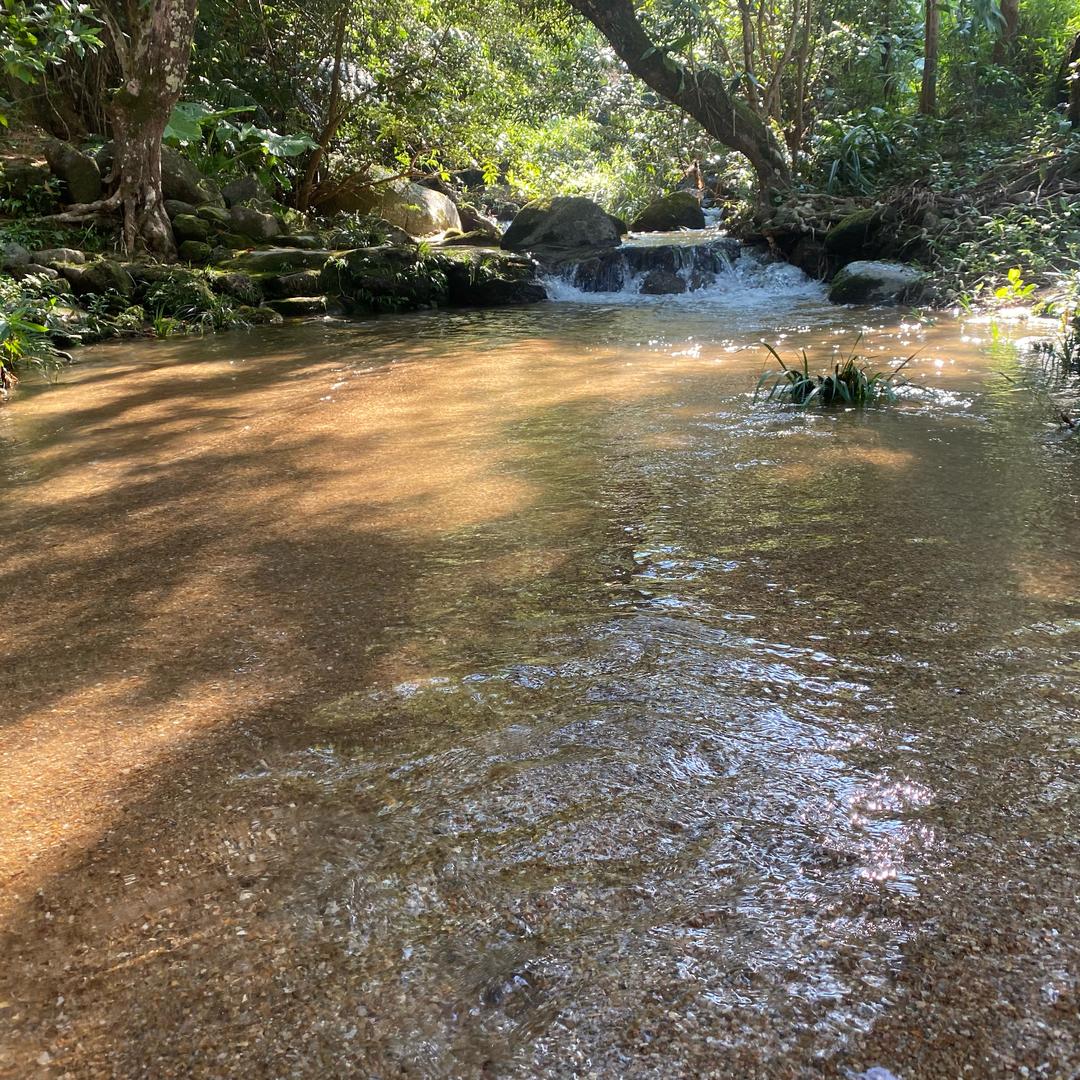 恒芯监控安防弱电