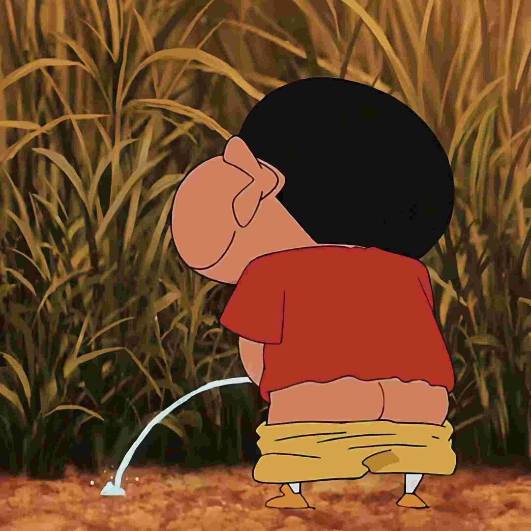 我家猫会后空芳