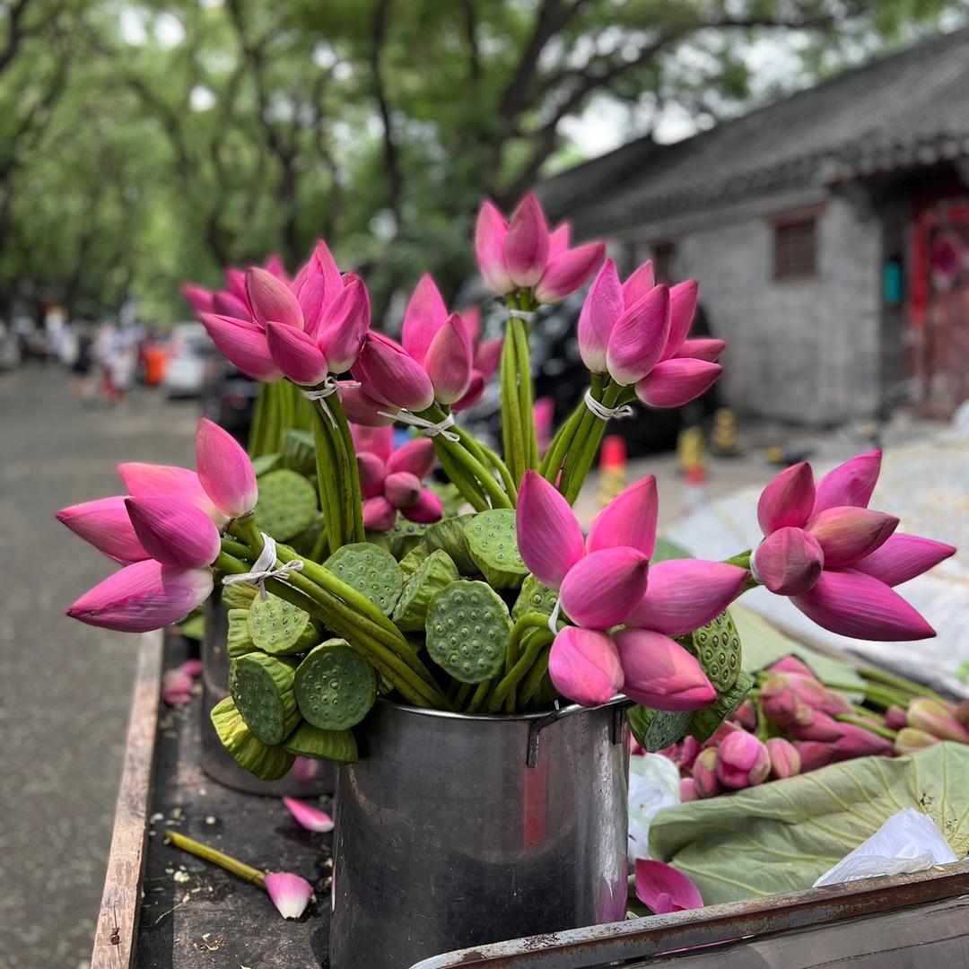 蘸酱走天涯