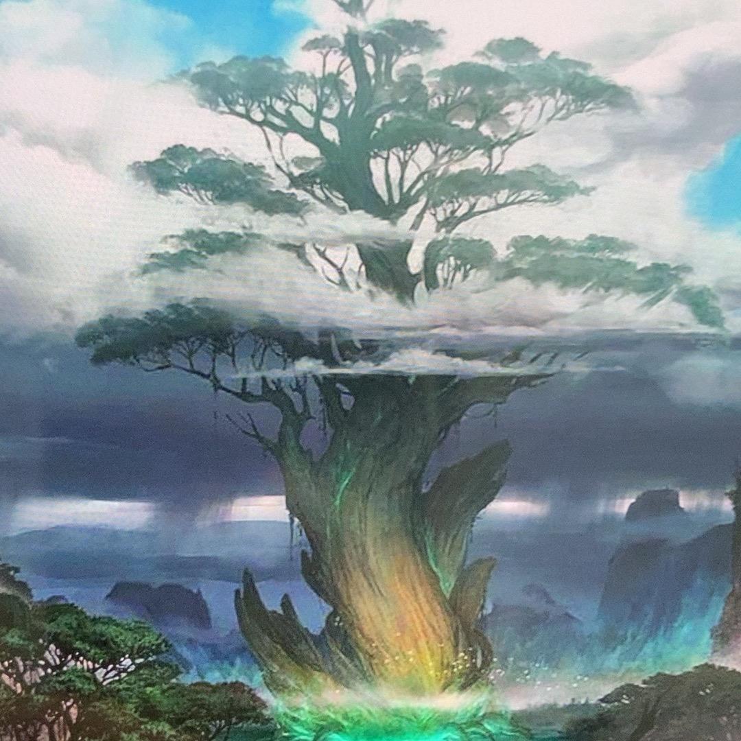海沧大师