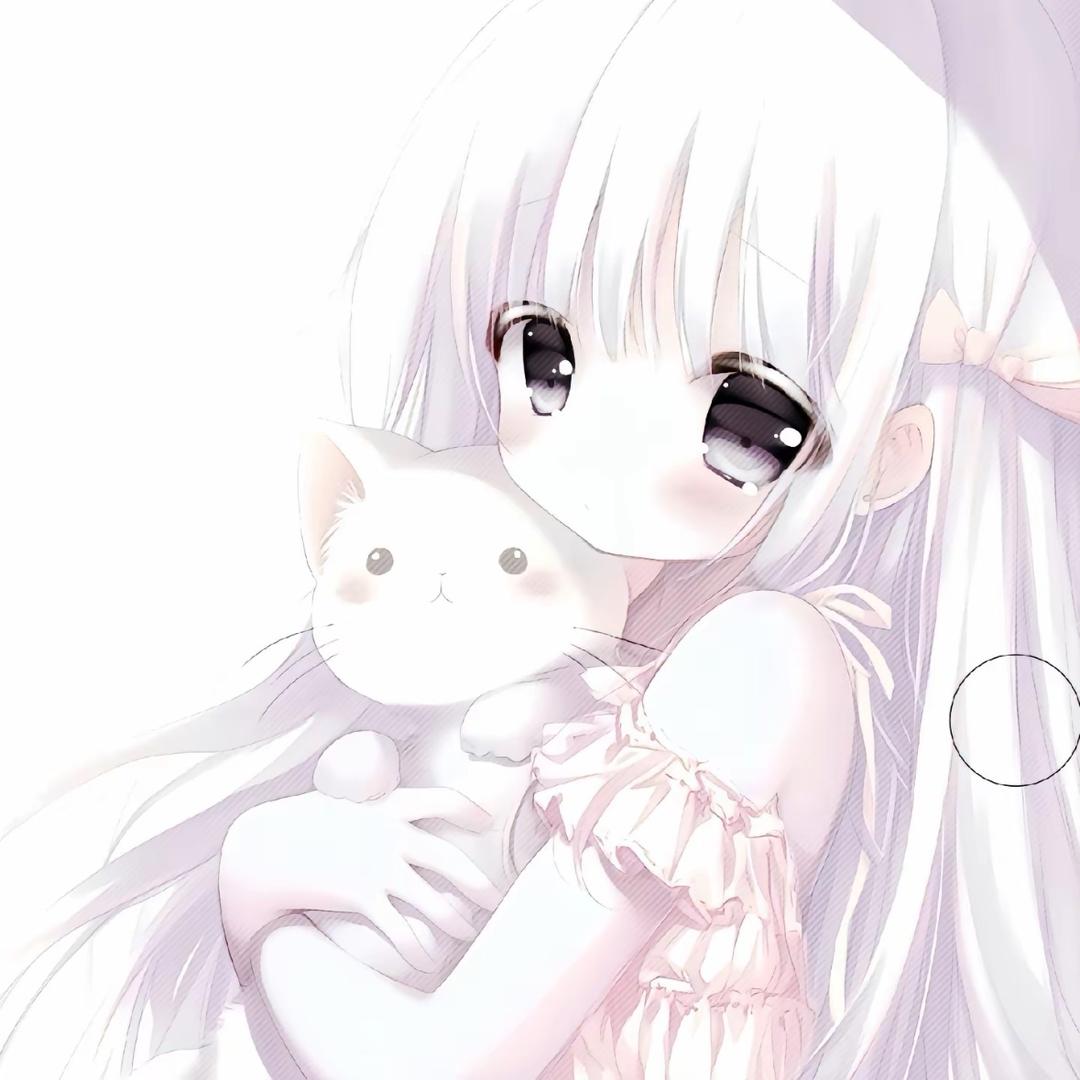 jingjingrr