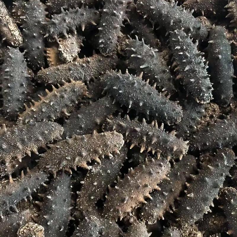 涎参湾国标淡干