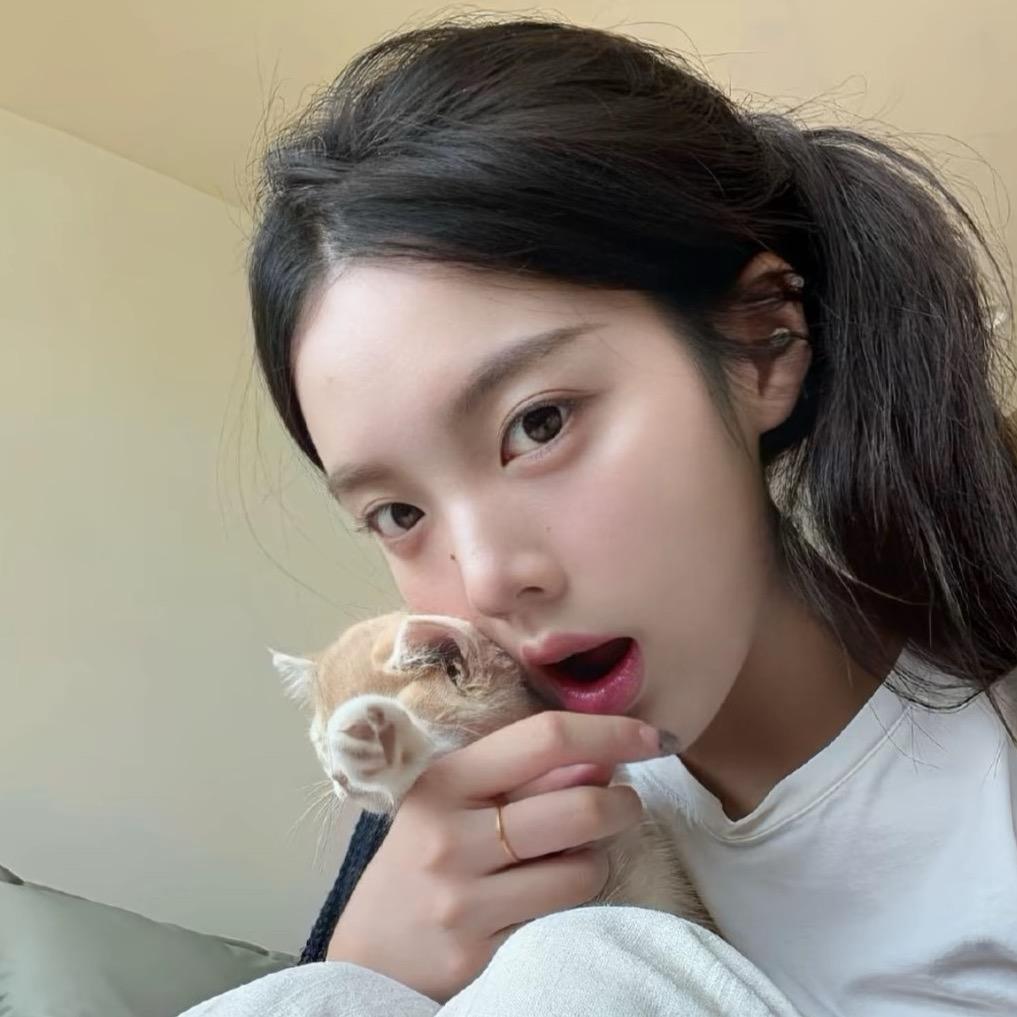 小鲨鱼.