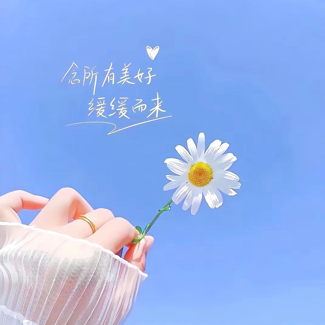 爱看短剧