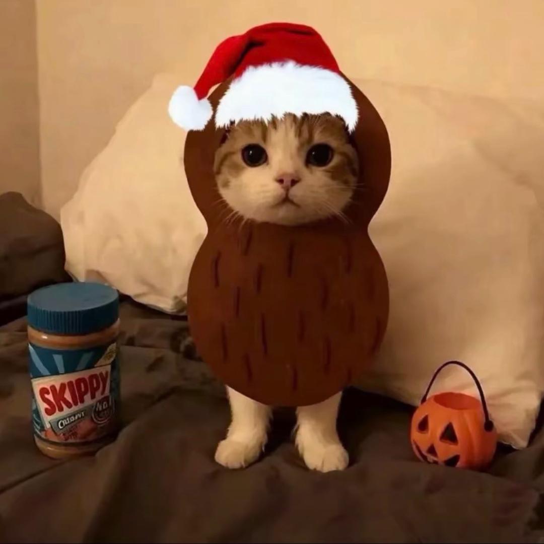 越越🎵（转运版）