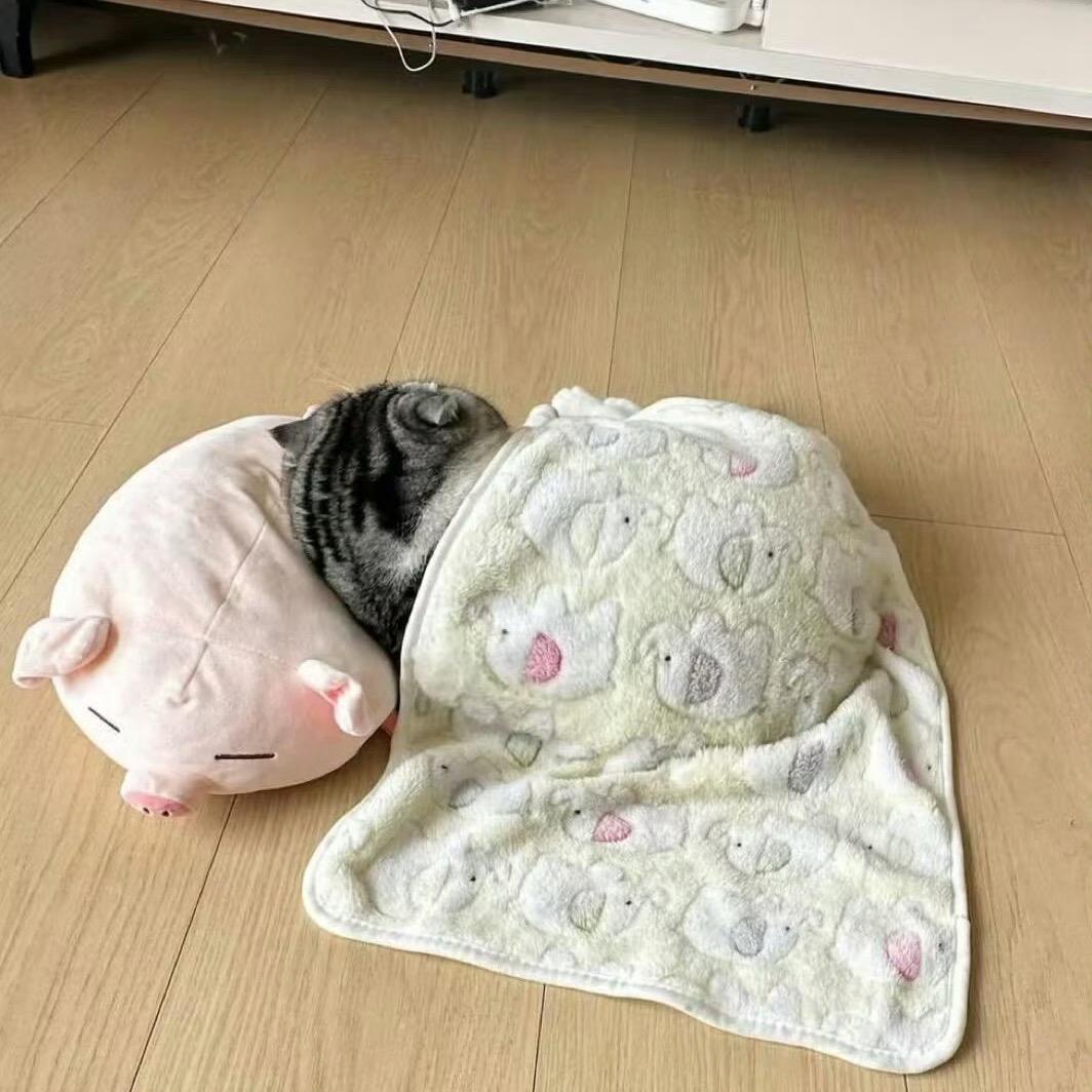 泪水