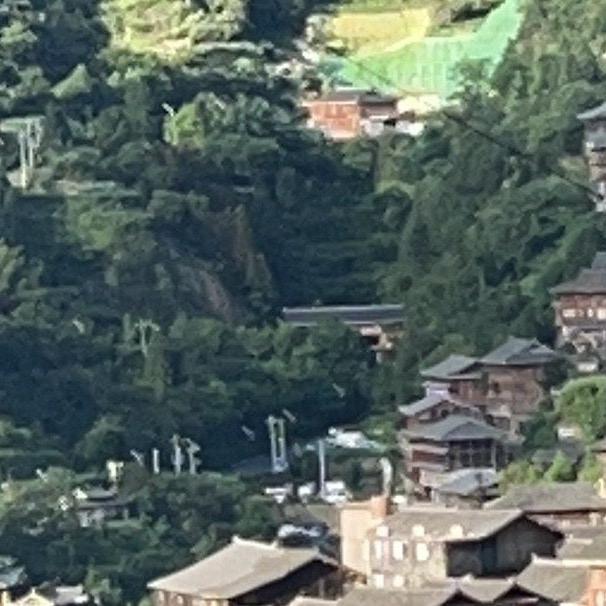 以花为城市的人