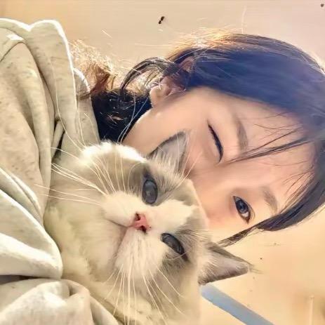 胆小鬼🐾