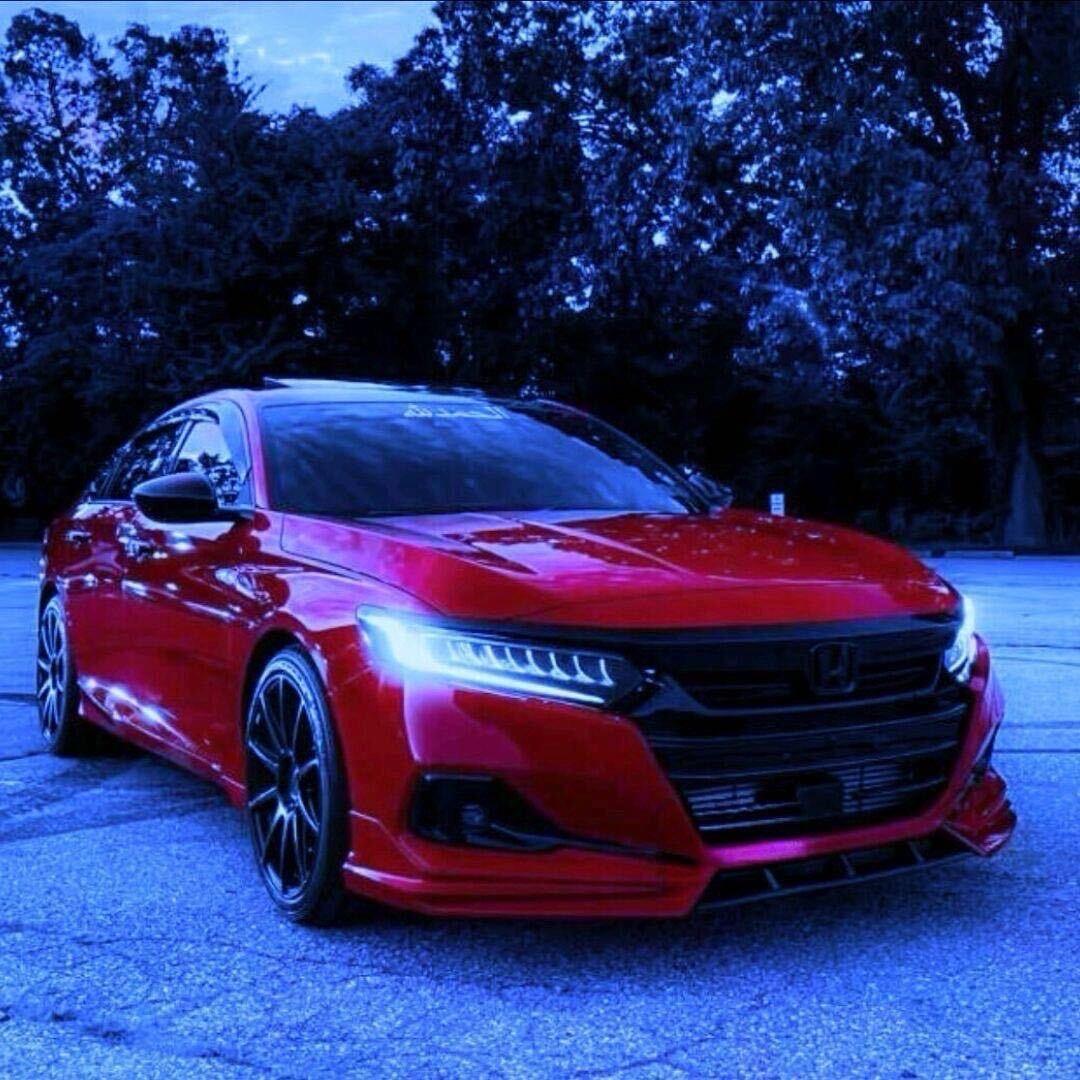 ☞ 紅蚂蚁 ☜