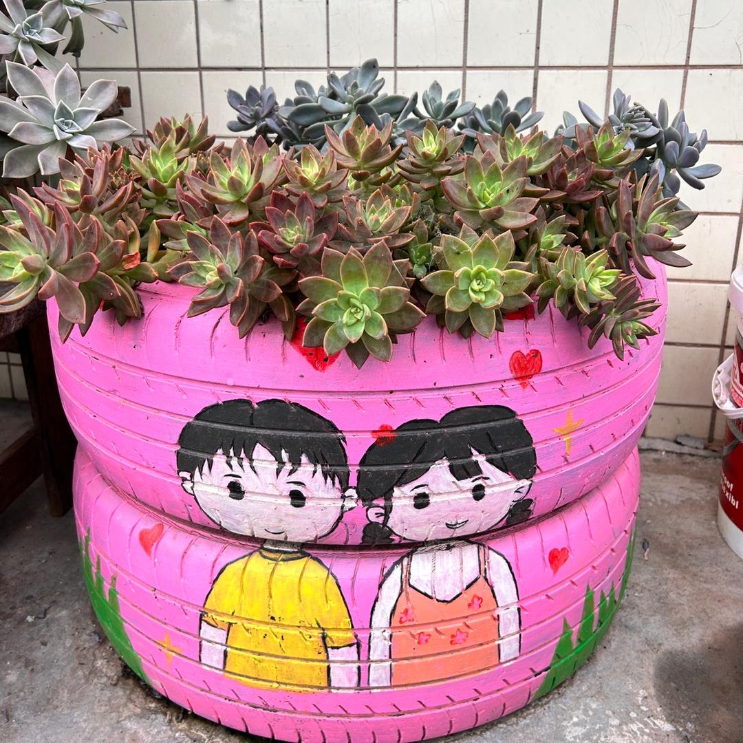 是沙沙呀