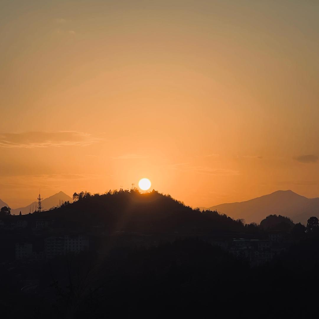 硒都～莓烦恼