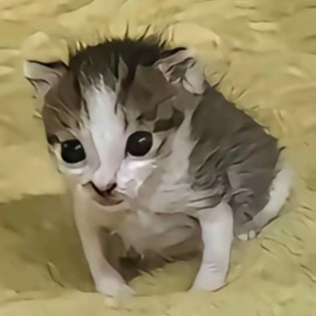 溺水的羊.
