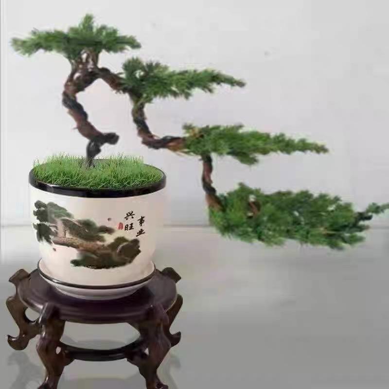 黄山小杜盆景店