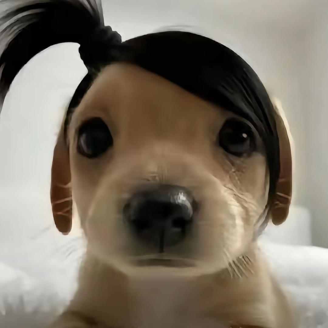 小火炖粥